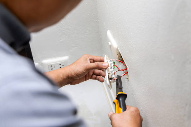Best Electrical Repair Services  in Dahlone, GA